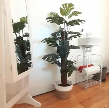 Loft Centrico Y Alegre En * Vigo